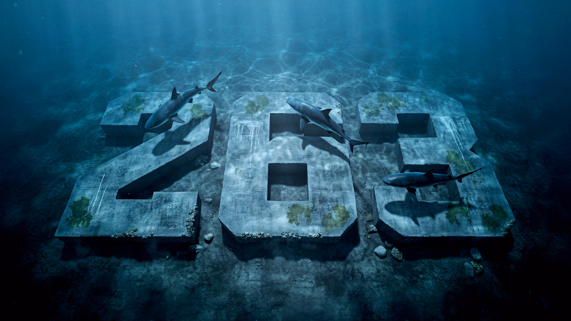 Season 263