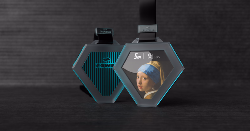 Ян Вермеер