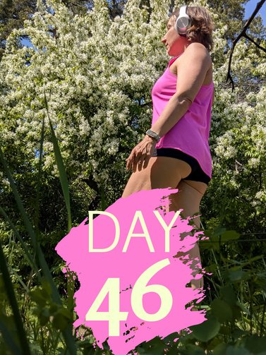 Season 262. Day 46