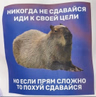 Степан Зинченко
